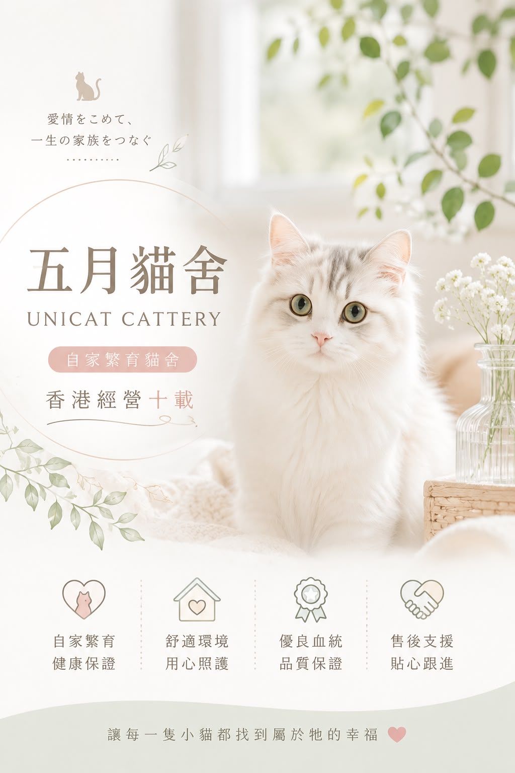 五月貓舍 UNICAT CATTERY — 香港自家繁育貓舍